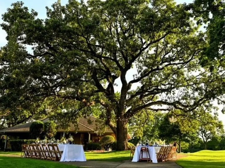 Long tables set for dinner under the oak tree on the club lawn at golden hour